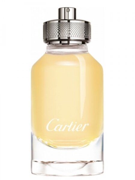 Cartier L'Envol Eau De EDT 100 ml Erkek Parfümü kullananlar yorumlar